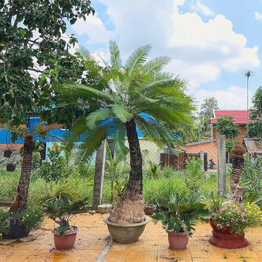 ?!label-Indicative photo