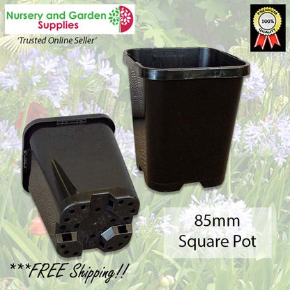 85mm Square plant pot black