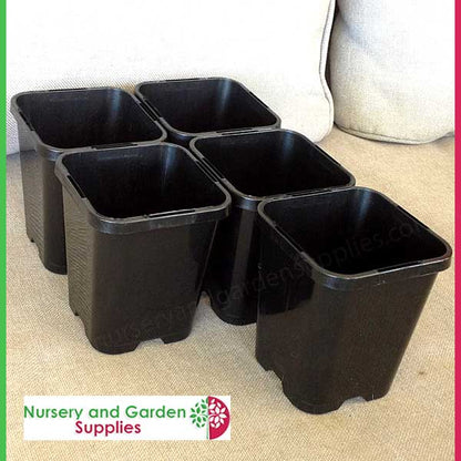 85mm Square plant pot black