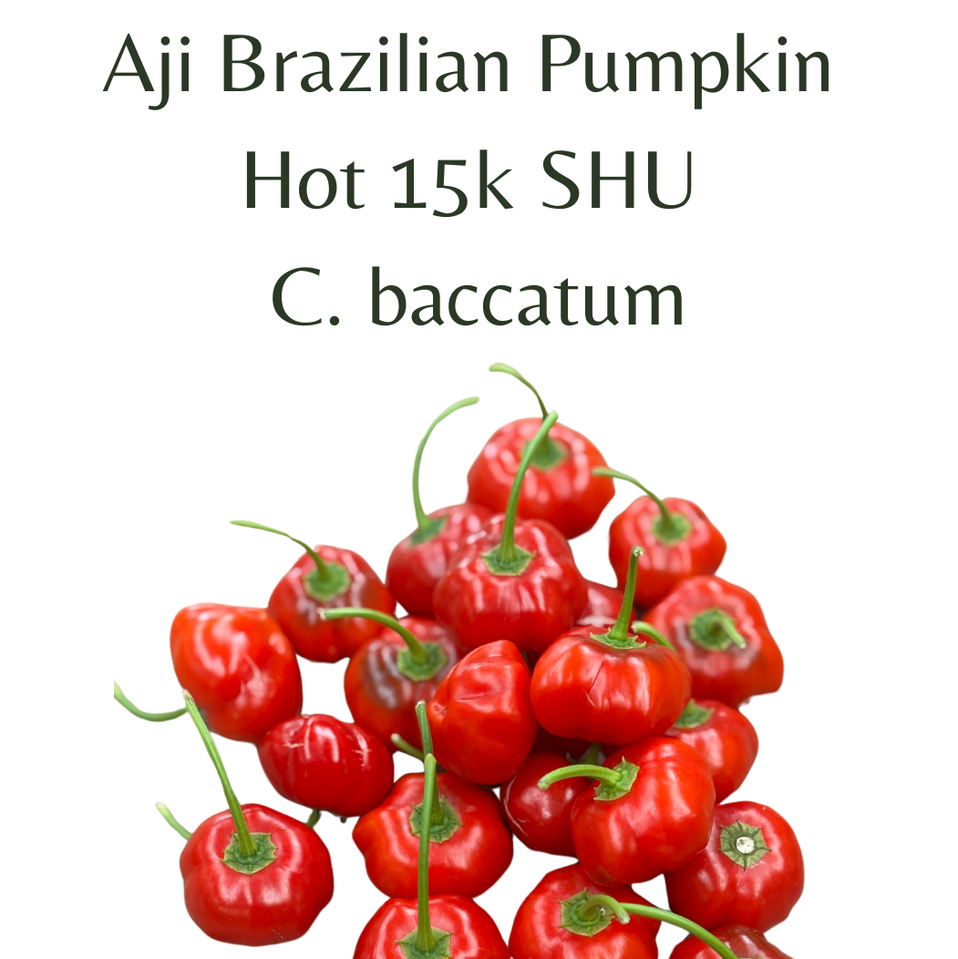 ?!label-Indicative photo