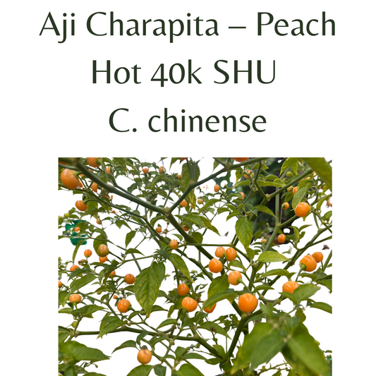 ?!label-Indicative photo