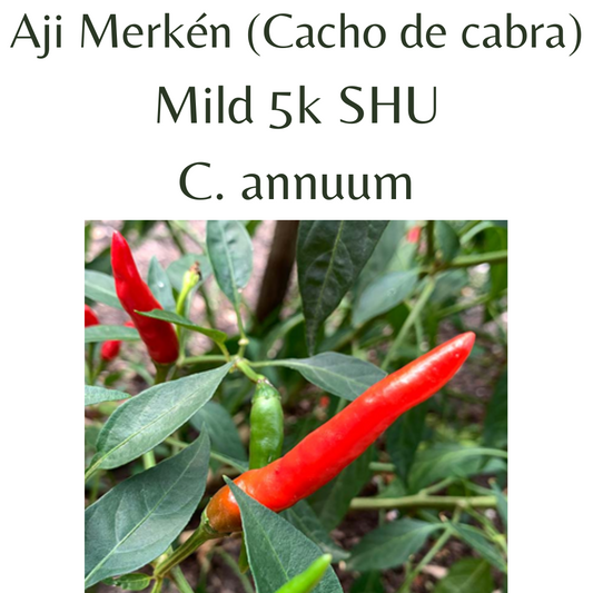 ?!label-Indicative photo