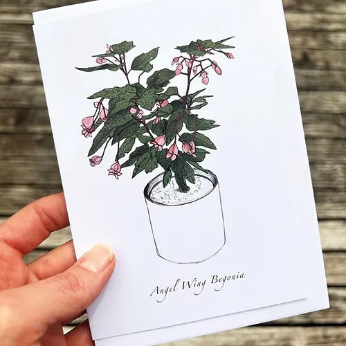 Angel Wing Begonia Greeting Card