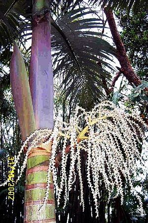 ?!label-Indicative photo