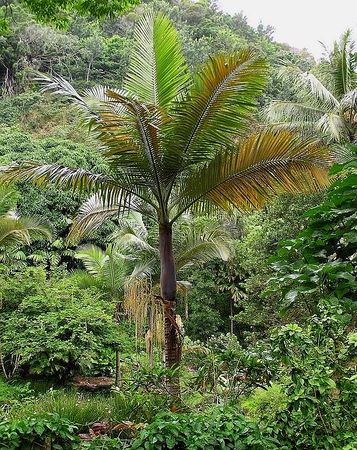 ?!label-Indicative photo