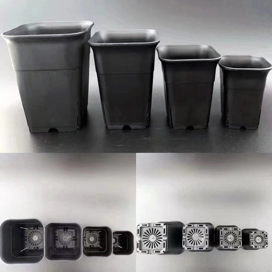 Plastic Pots for Hoyas/Haworthia