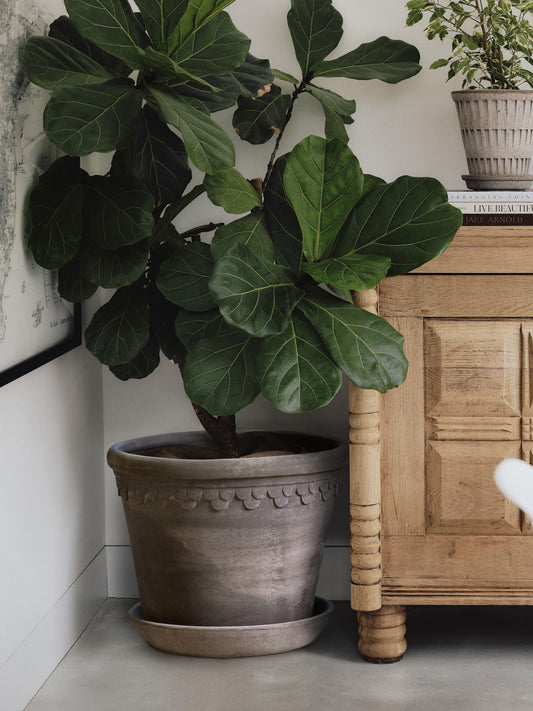 'Københavner' Pot & Saucer