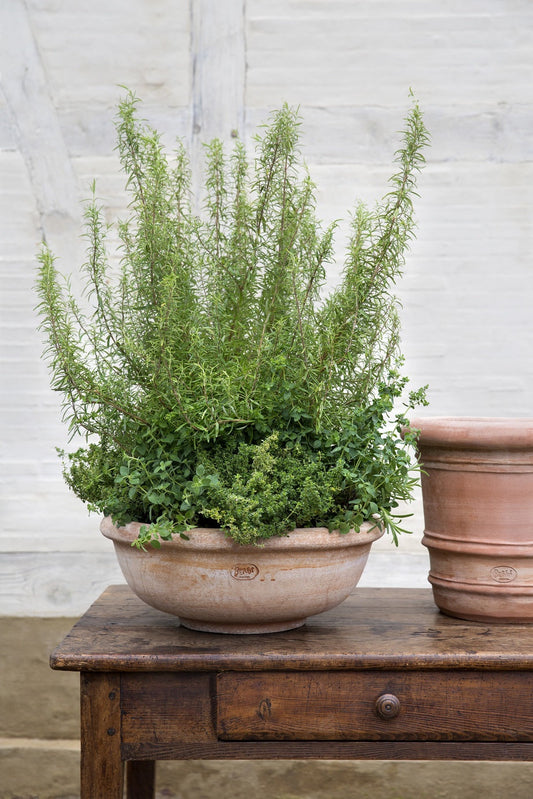 'Erbe' Herb Bowl