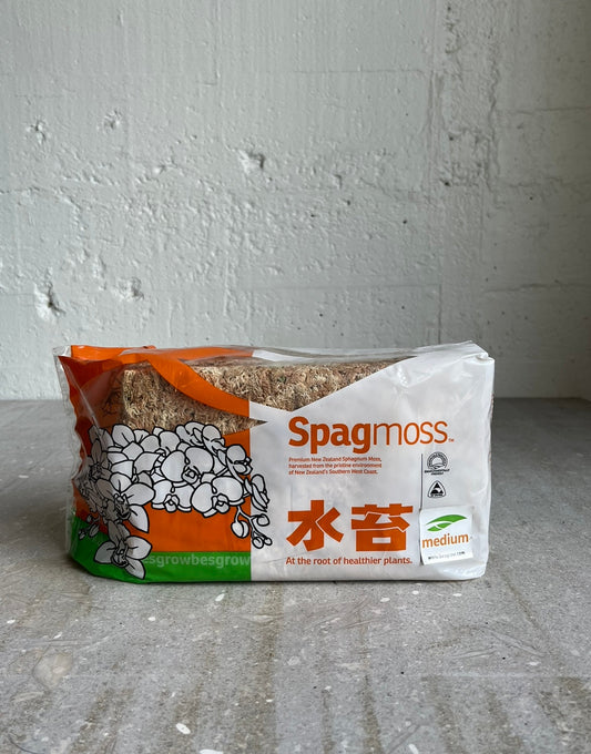 Spagmoss (sphagnum brick)