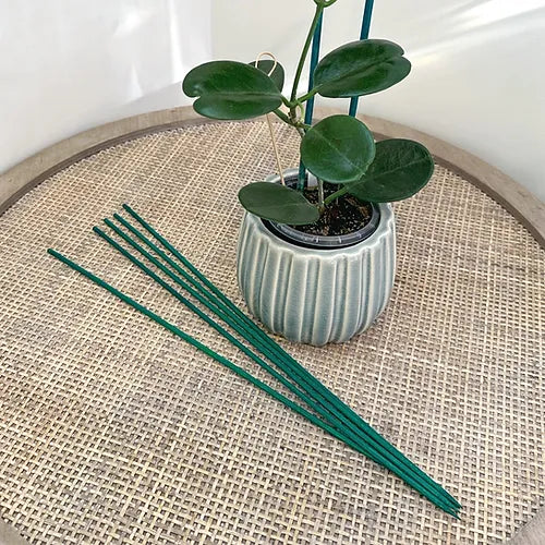 Bamboo Plant Stake