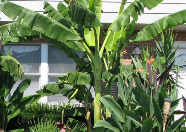 ?!label-Indicative photo