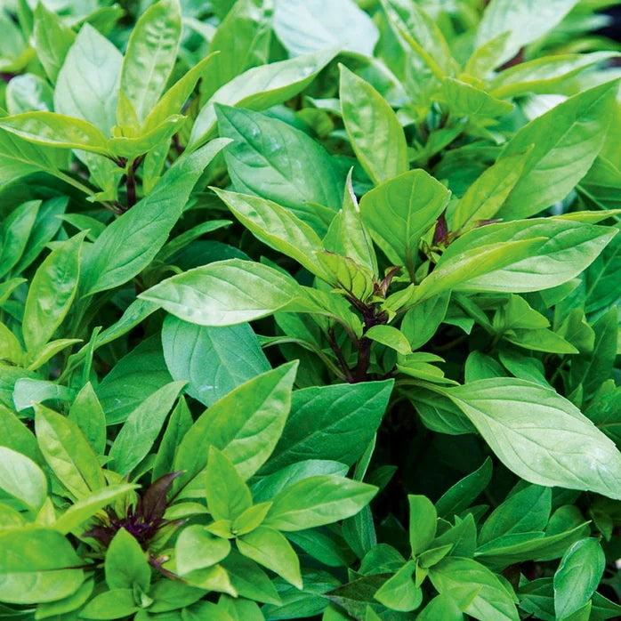 ?!label-Indicative photo