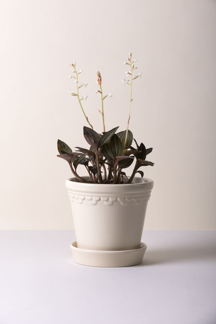 'Københavner' Pot & Saucer