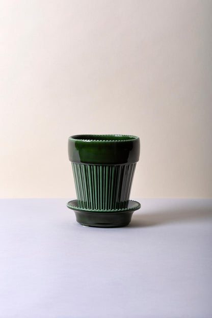 'Simona' Flower Pot & Saucer