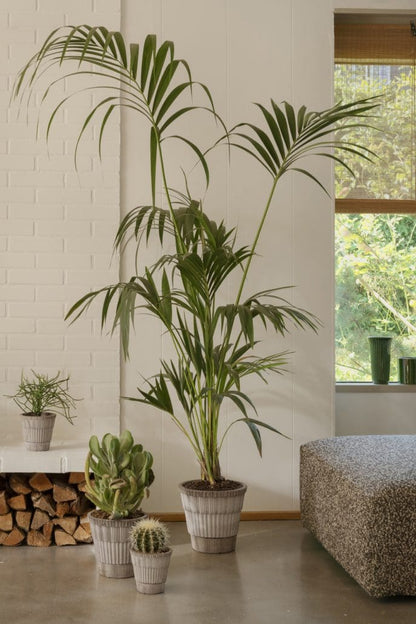 Atlas planter