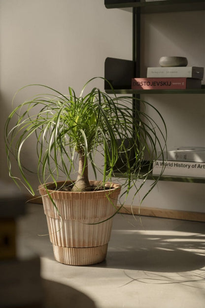Atlas planter