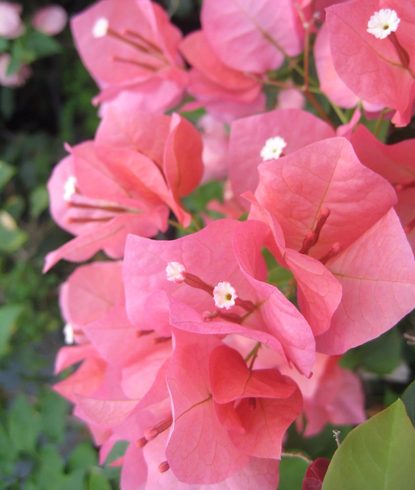 ?!label-Indicative photo