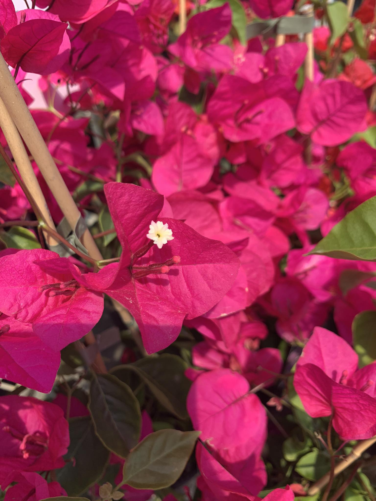 ?!label-Indicative photo