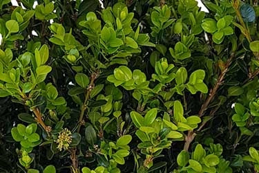 ?!label-Indicative photo