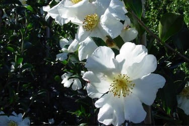 ?!label-Indicative photo