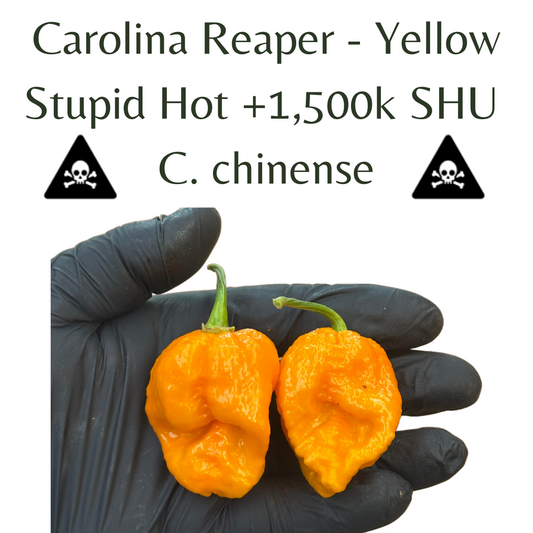 ?!label-Indicative photo