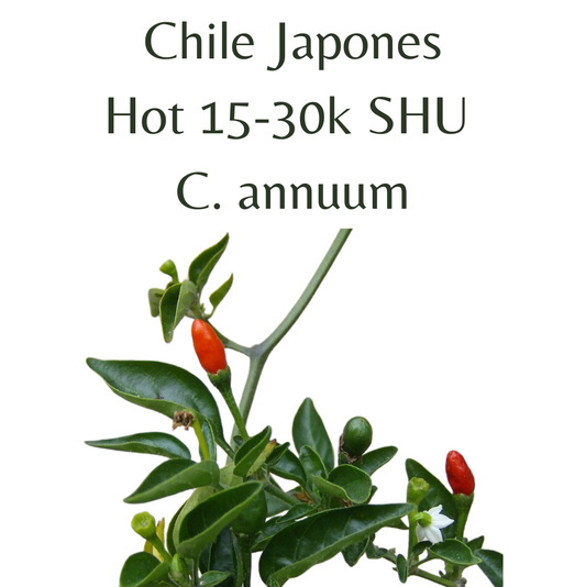 ?!label-Indicative photo