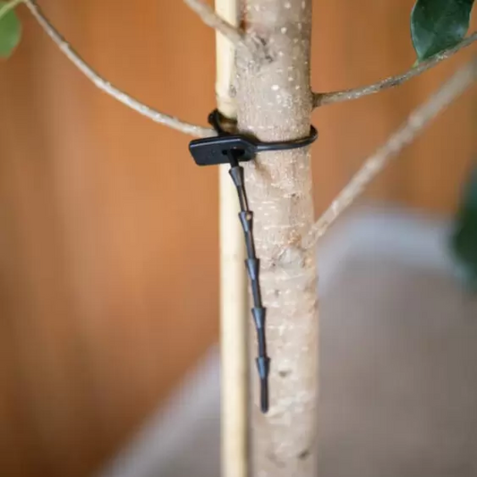 Rubber Easi Ties – Flexible, Reusable, and Tree-Friendly