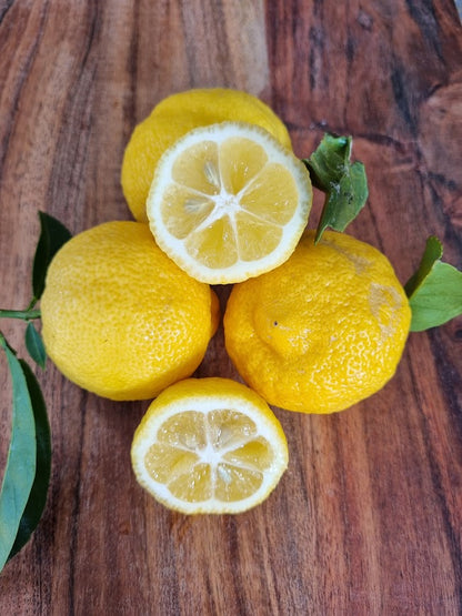 ?!label-Indicative photo