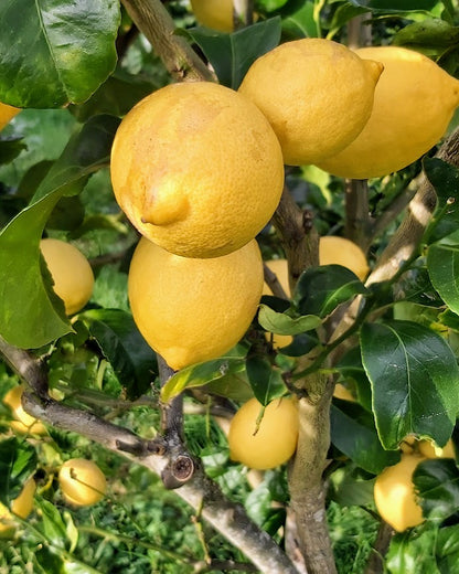 ?!label-Indicative photo