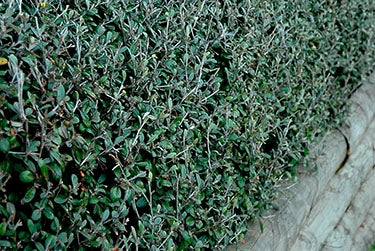 ?!label-Indicative photo