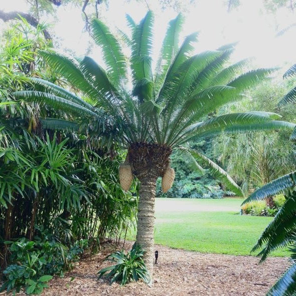 ?!label-Indicative photo