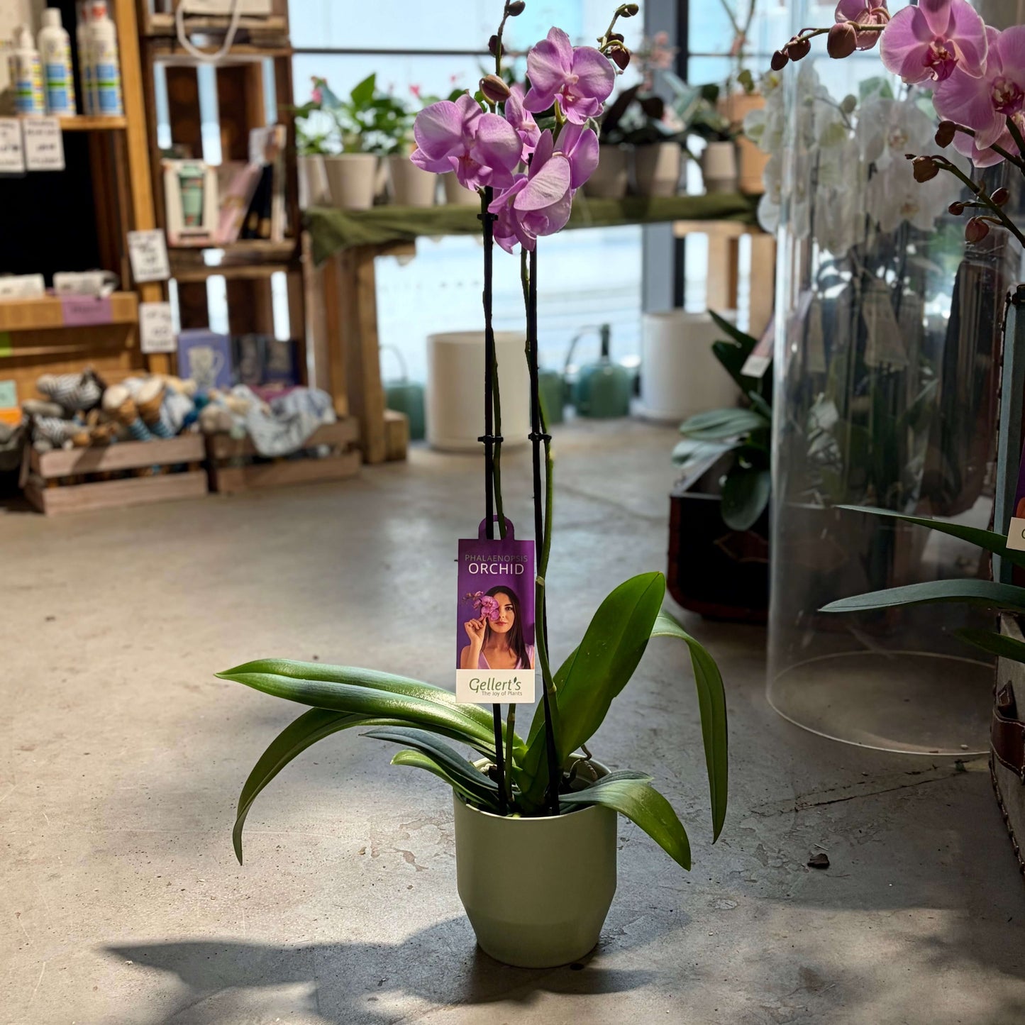 ?!label-Indicative photo