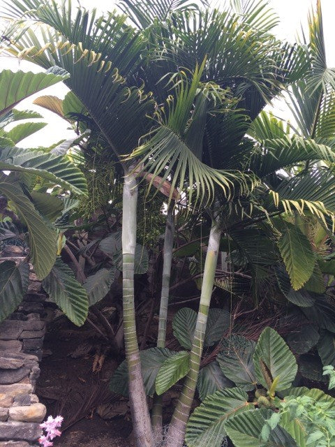 ?!label-Indicative photo