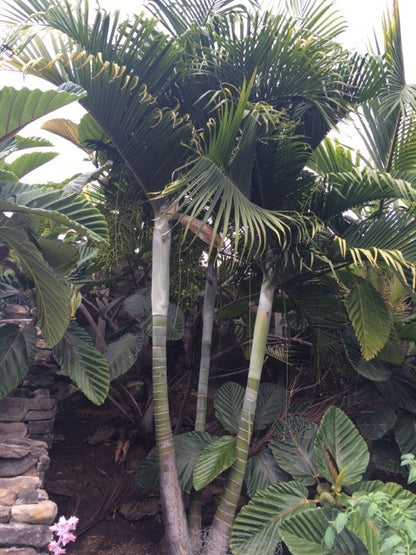 ?!label-Indicative photo