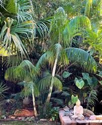 ?!label-Indicative photo