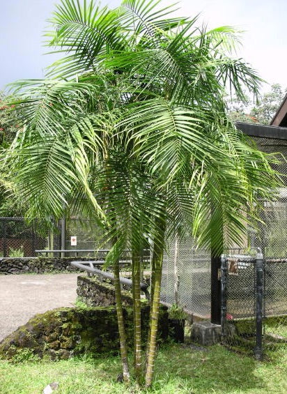 ?!label-Indicative photo