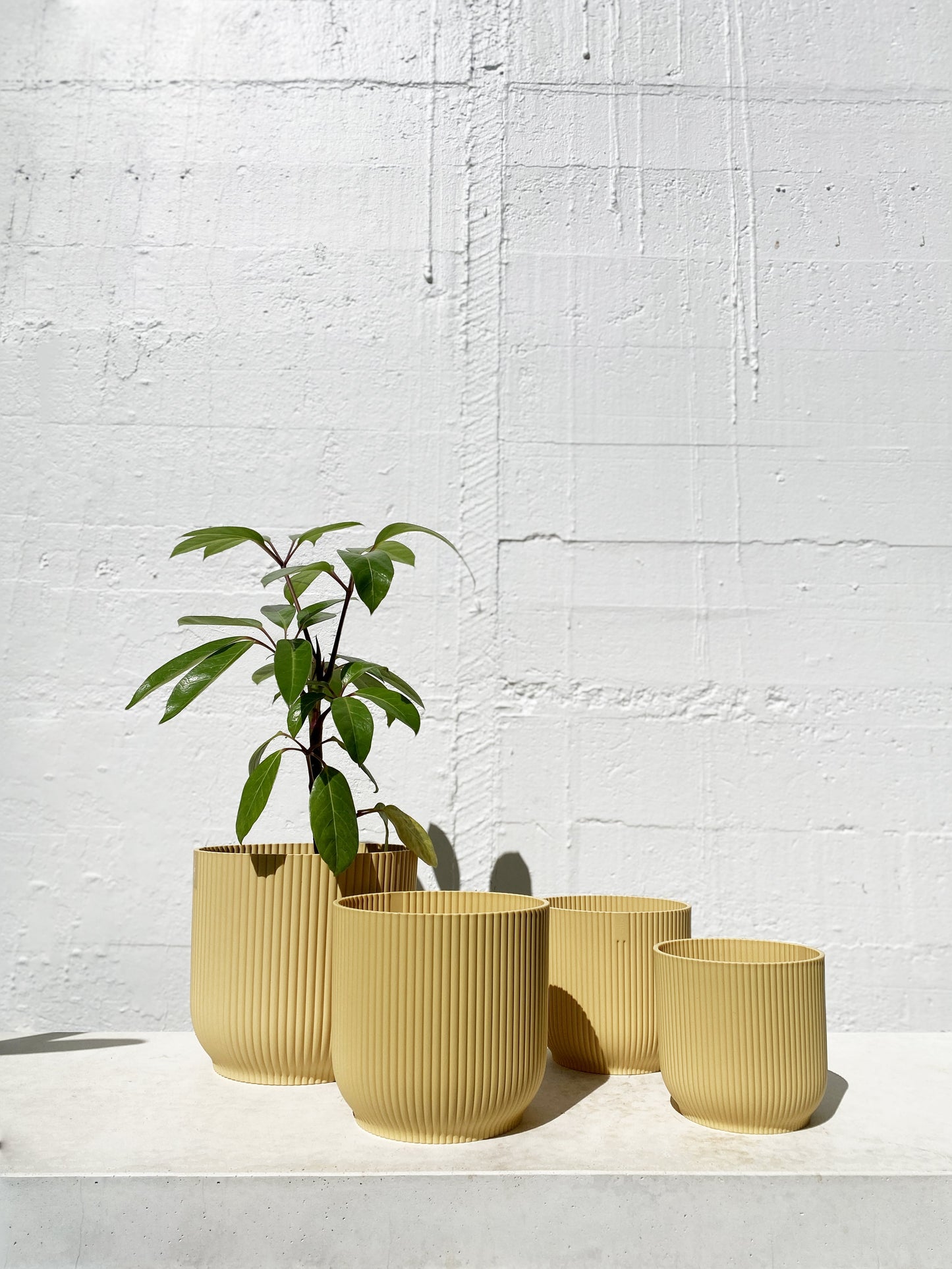 Elho Vibes Planter