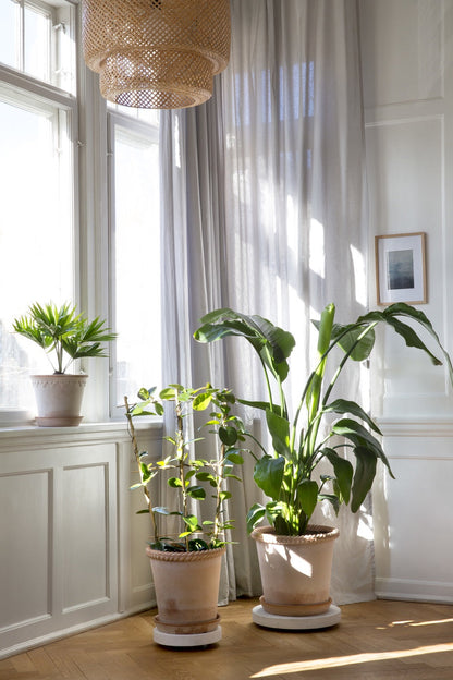 Plant Trolley 'Rolling Stones'