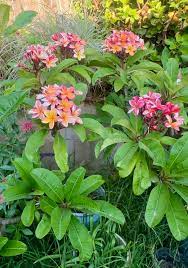 ?!label-Indicative photo