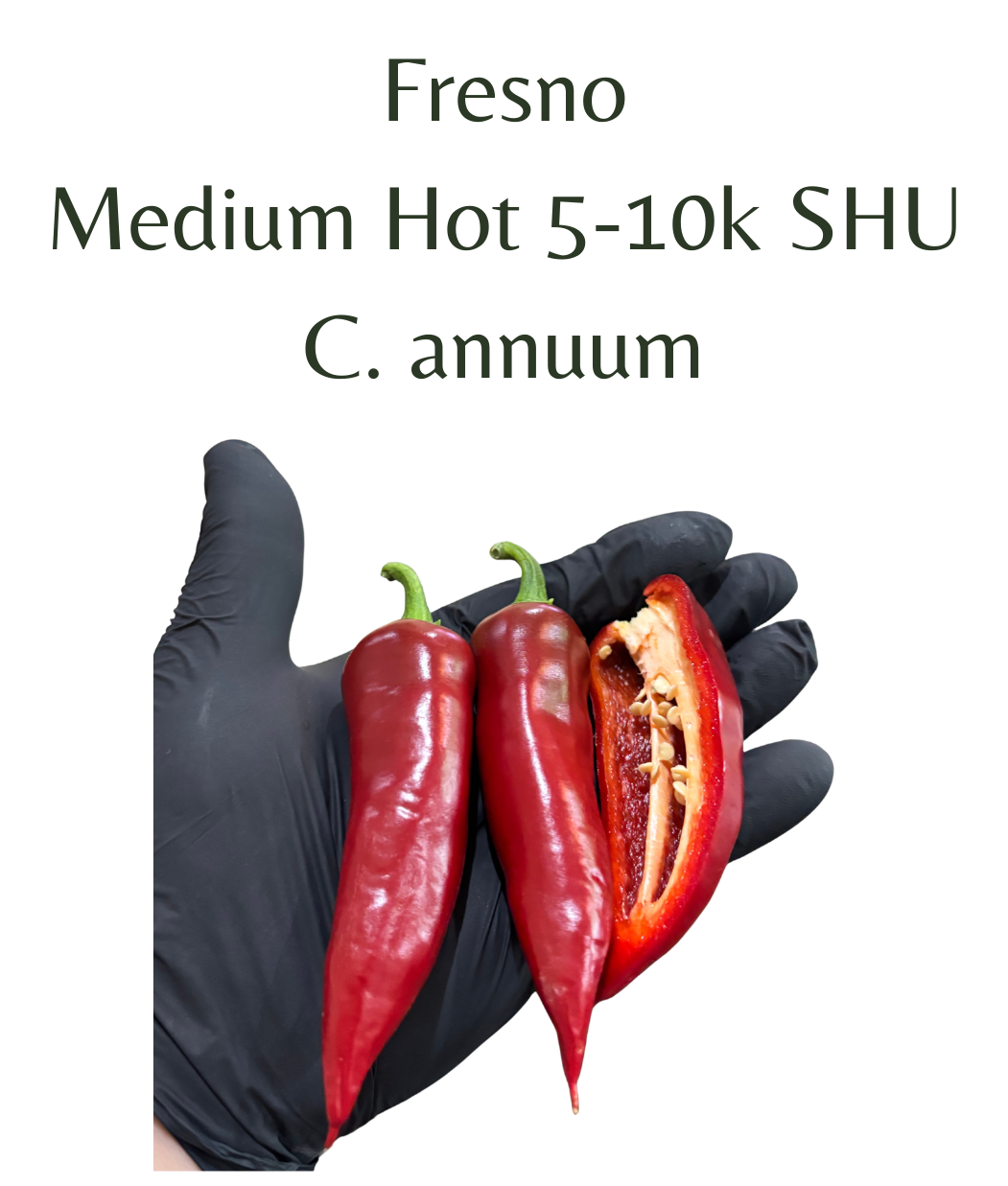 Fresno_Chilli_Seeds_10_seeds