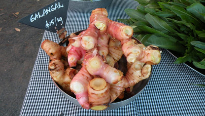 Galangal, Red (Thai Ginger)