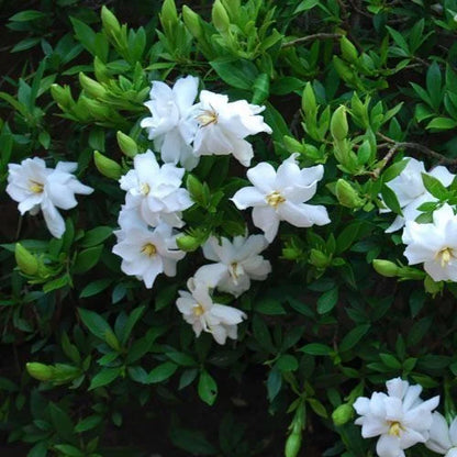 ?!label-Indicative photo