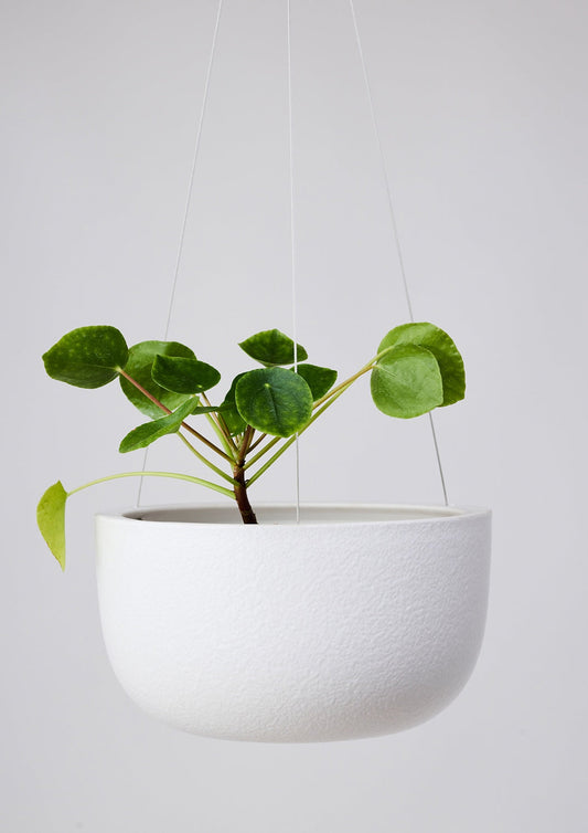 Glazed Earth Hanging Planter