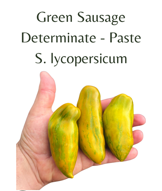 Green_Sausage_Tomato_10_seeds