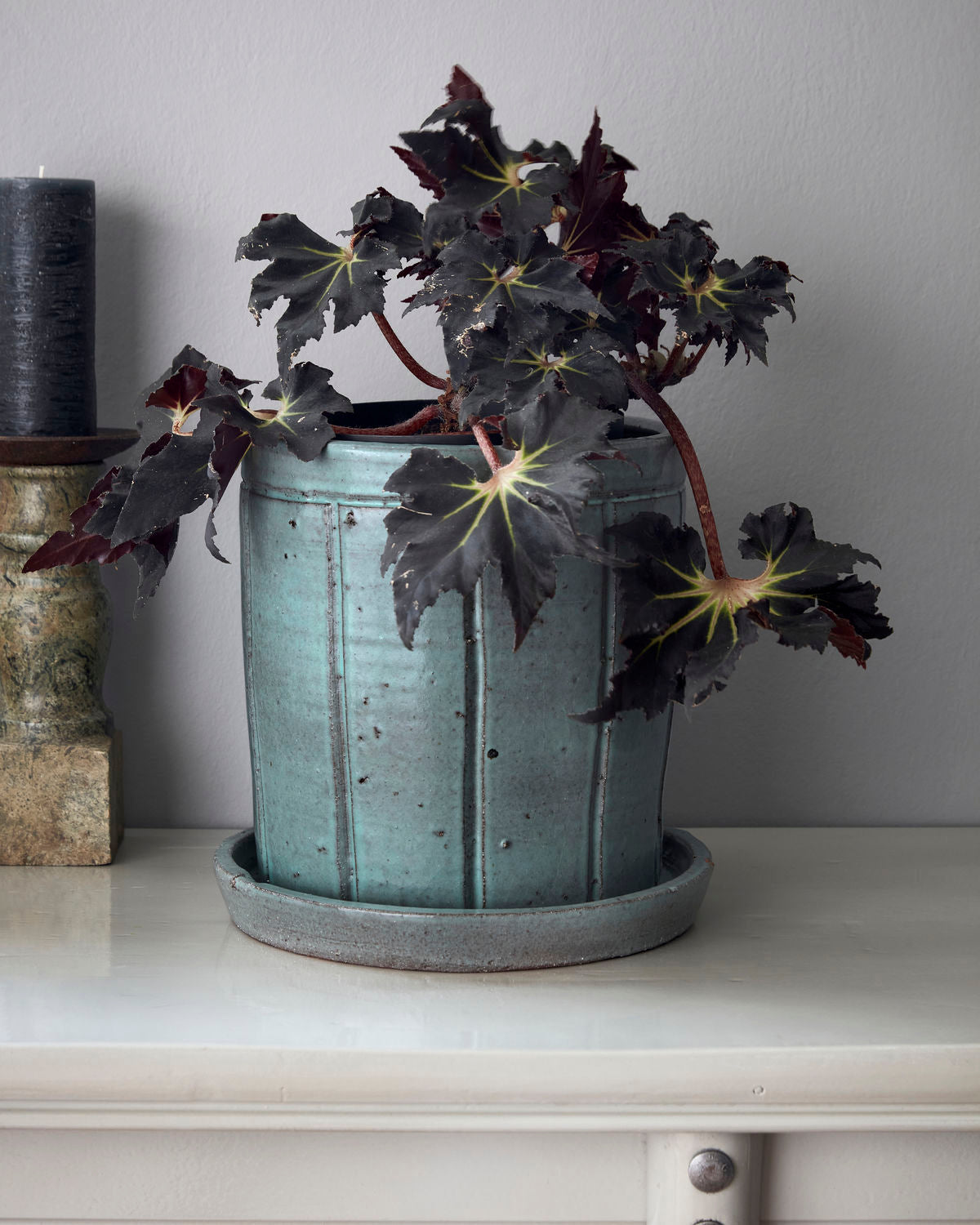'Julian' Planter