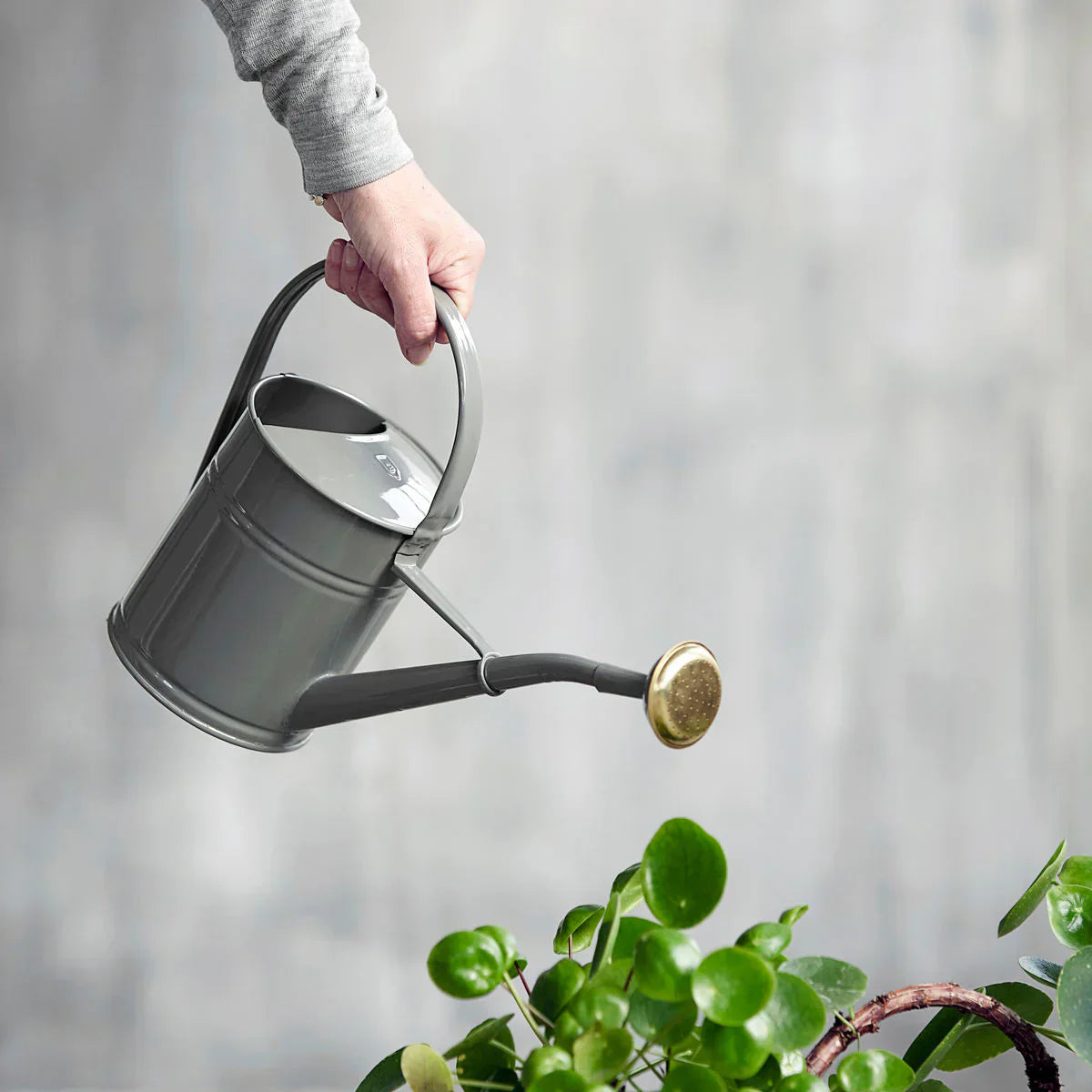 Wave Watering Can 2L