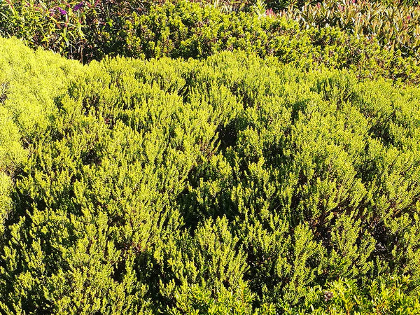 ?!label-Indicative photo