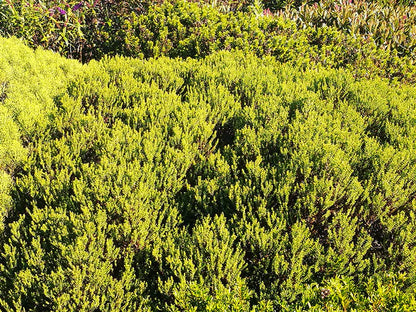 ?!label-Indicative photo