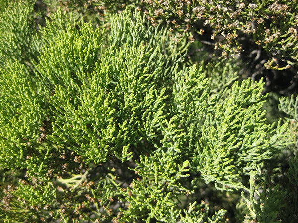 ?!label-Indicative photo