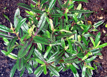 ?!label-Indicative photo